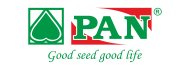 PAN SEEDS